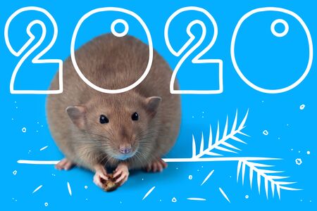 new year greeting card with 2020 year. Rat sitting on blue background.の写真素材