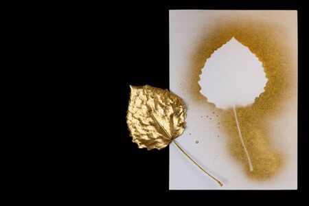 autumn composition of gold leaf and postcards on a black backgroundの写真素材