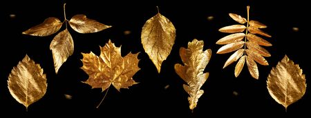 autumn composition of different Golden leaves and letters on a black backgroundの写真素材