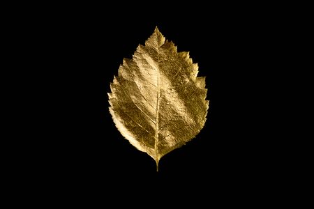 autumn composition of different Golden leaves and letters on a black backgroundの写真素材