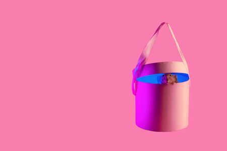 cute decorative rat symbol of the year in neon light in gift on pink background