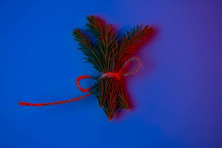 twigs of spruce tied with twine in the neon light on a blue backgroundの写真素材