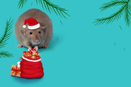 rat - symbol of 2020 in a Santa Claus hat and with a bag of gifts on a mint backgroundの写真素材