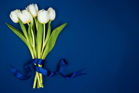 A bouquet of white tulips tied with a ribbon. On a blue background. Postcard for Valentine's Day and March 8th.の写真素材