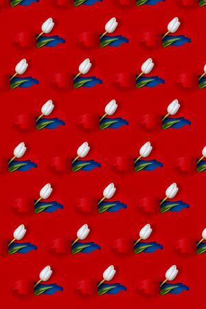 One white Tulip is visible from a hole in the red paper. Inside, a blue color and a green leaf are shown. Pattern.の写真素材