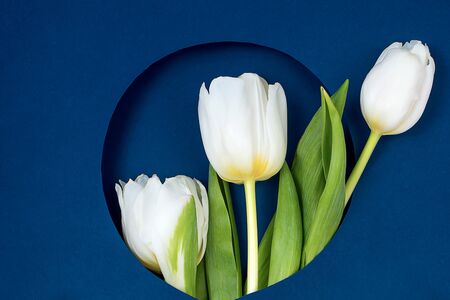 View from above tulips and gift box with copy space. Background for womens day, 8 March Valentines day, 14 february. Flat lay style, top view, mockup, template, overhead. Greeting cardの写真素材