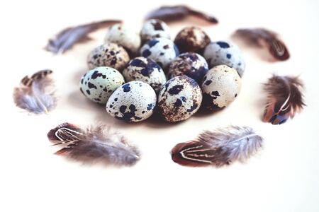 Easter card. The quail eggs, around the feathers. On a light backgroundの写真素材