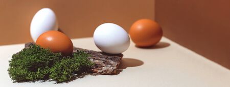 Four multi-colored eggs and natural materials moss and wood. Easter concept. Banner