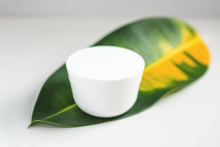 White mock up cream stands on a green leaf. On a white background. Conceptの写真素材