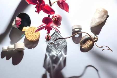 Geometric composition with orchid flower and circles of different materials. The concept is on a gray background.の写真素材