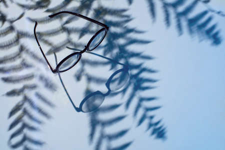 Glasses with palm tree shadows on a blue backgroundの写真素材