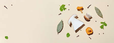 Flat lay of mushrooms and seasonings for pickles on a light background with a harsh shadow: chanterelle, porcini, greens, bay leaf, cloves, peppersの写真素材