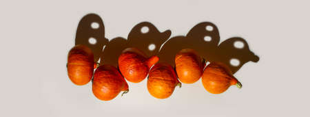 A pyramid of orange pumpkins with funny ghost shadows with eyes. Halloween concept. Bannerの写真素材