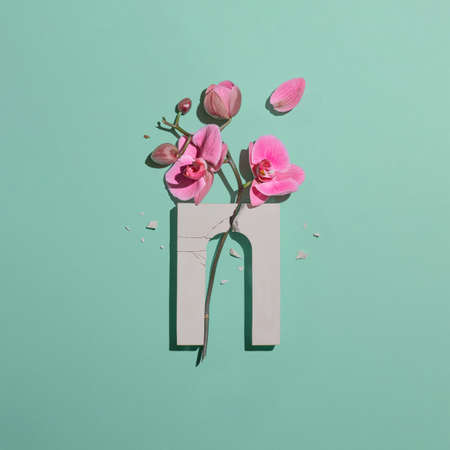 Composition with a broken arch and pink orchid flower on a mint backgroundの写真素材