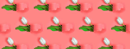One white Tulip is visible from a hole in the red paper. Inside, a blue color and a green leaf are shownの写真素材