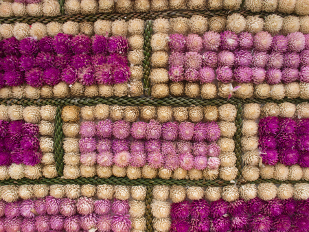 Decorated with purple amaranth flower.