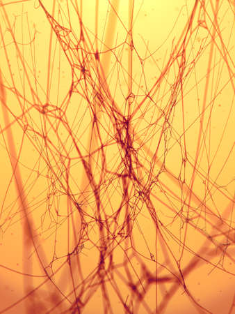 Mysterious cobweb surrounded by flying particles. Abstract mystic foggy backdrop. 3d rendering spooky texture. Digital illustrationの写真素材