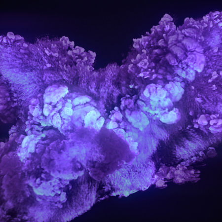 Three-dimensional visualization of a chemical neon color explosion with powerful swirls of bright...
