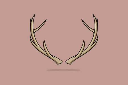 Deer antler vector icon illustration. Animal objects icon design concept. Animal nature, Wildlife animals, Head antler, hunted deer, Antler icon, Sign and symbol, Deer beauty.のイラスト素材