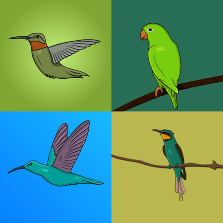 Set of Flying Birds vector illustration. Humming Birds and Green Parrot collection logo design. Modern colorful flying birds logo. Abstract bird vector.のイラスト素材