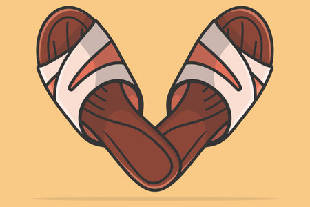 Pair Of Women Footwear Slippers Shoes vector illustration. Beauty fashion objects icon concept. Female accessories, elegant slippers pair vector design.のイラスト素材
