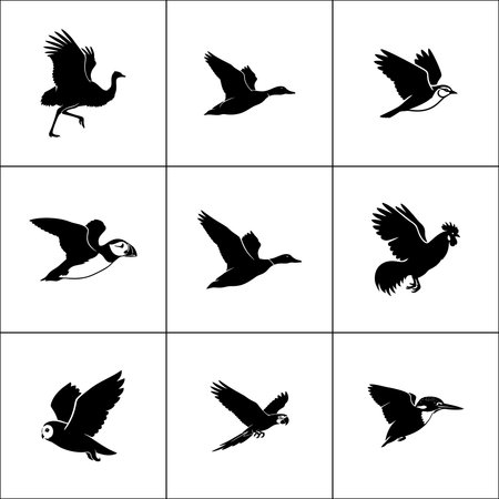Set of vector silhouettes of flying birds isolated on white background.のイラスト素材