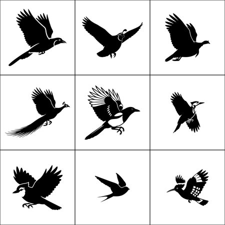 Set of black silhouettes of birds on white background. Vector illustration.のイラスト素材