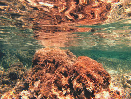 Coral reflectionの素材