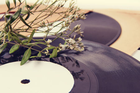 Vintage vinyl records in envelopes and dried flowers on a light tableの写真素材
