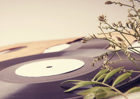 Vintage vinyl records in envelopes and dried flowers on a light tableの写真素材