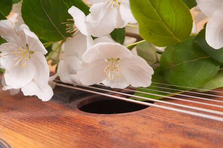 Old acoustic guitar and spring flowers on the table