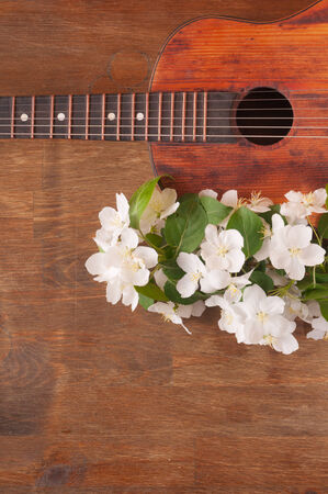 Old acoustic guitar and spring flowers on the tableの写真素材