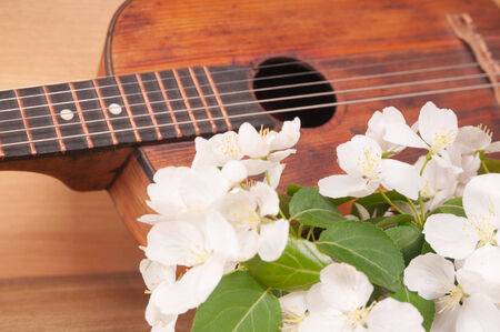 Old acoustic guitar and spring flowers on the tableの写真素材