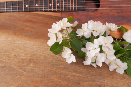 Old acoustic guitar and spring flowers on the tableの写真素材