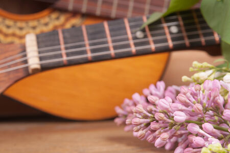 Two acoustic guitars and a bouquet of spring flowers on the tableの写真素材