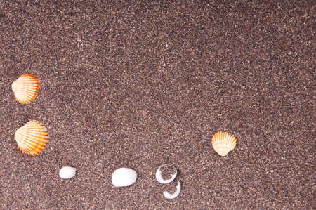 Texture of volcanic sand with shellsの写真素材