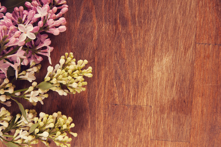 Spring flowers on a wooden の写真素材