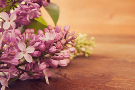 Spring flowers on a wooden の写真素材