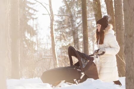 Girl with a stroller in a winter parkの写真素材