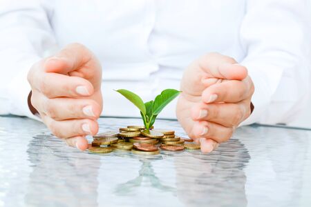 Businesswoman hands covering a pile of coins with growing plant suggesting economy protectionの写真素材