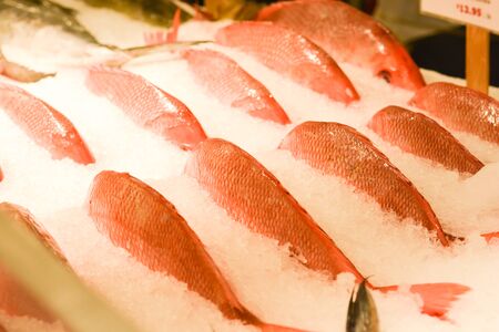Red tropical fish at the marketの写真素材