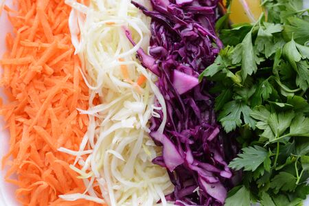 Colorful chopped vegetables in line on white casseroleの写真素材