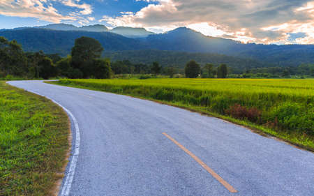 Green Rice Field with Mountains Background  under Blue Sky, Chiang Mai, Thailandの写真素材
