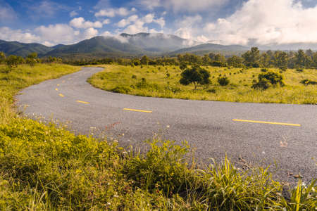 Beautiful countryside road in green field under blue skyの写真素材
