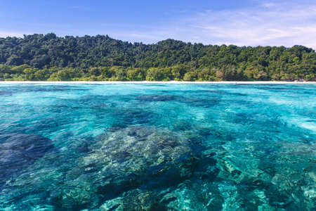 Water of tropical crystal clear sea, Tachai island, Andaman, Thailandの写真素材