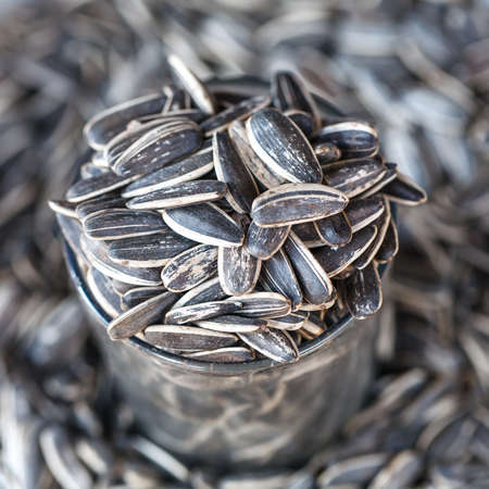 Sunflower seed in a cup, close-up, backgroundの写真素材
