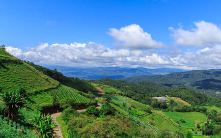 Tropical forest and mountain ranges, Chiang Mai, Thailandの写真素材