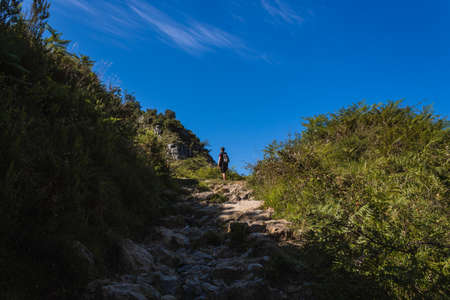 Young hiker walking on the mountain next to the trees and big rocks