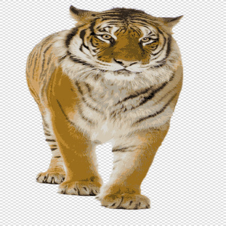 Tiger isolated on white background. Vector illustration of a tiger.のイラスト素材