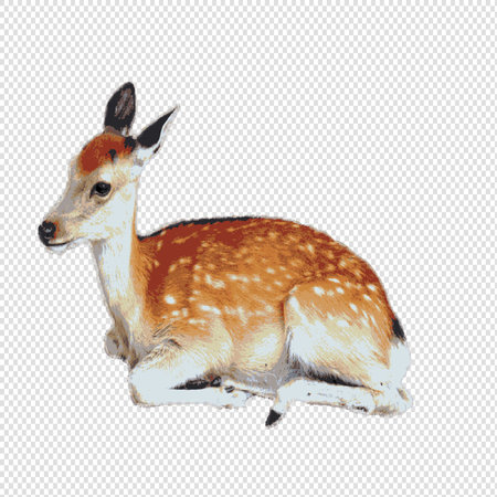 Watercolor deer isolated on transparent background. Vector illustration. EPS 10のイラスト素材